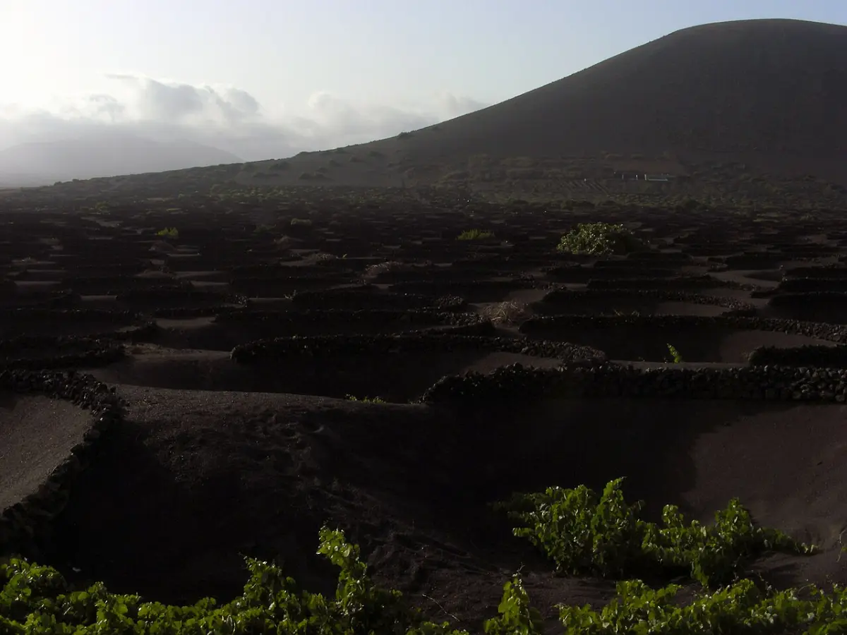La Geria, Lanzarote