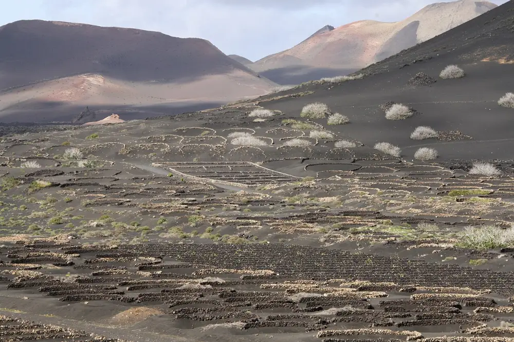 Lanzarote